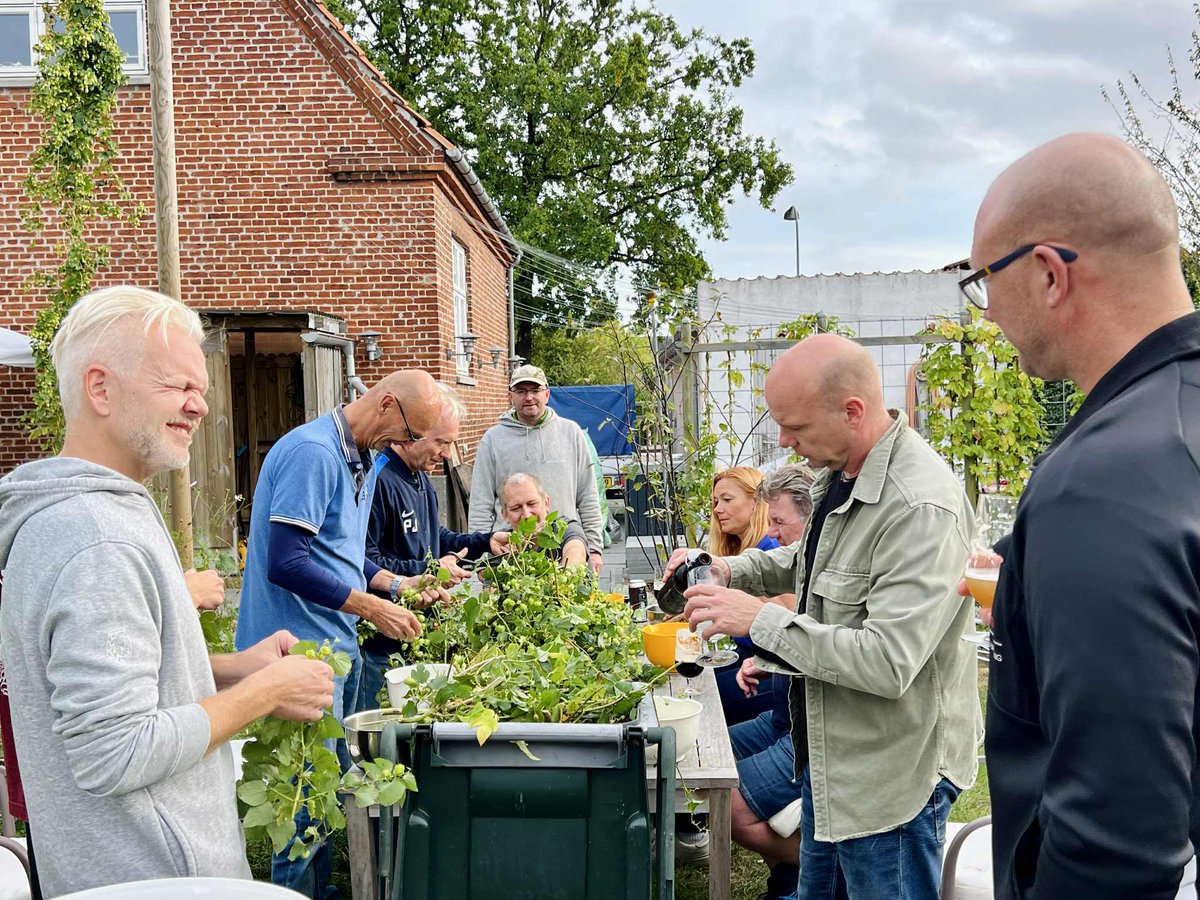 Hops-2025: Hop Harvest Update

Last week Locals and Patrons continued this Year's Hop Harvest.

We cut down the mighty Centennial that took back the Garden Record for Highest Outcome per Plant: 3.7kg.

Cozy as always, and a big Help. Thanks!

Photo by Ivan Lundsgaard Jensen