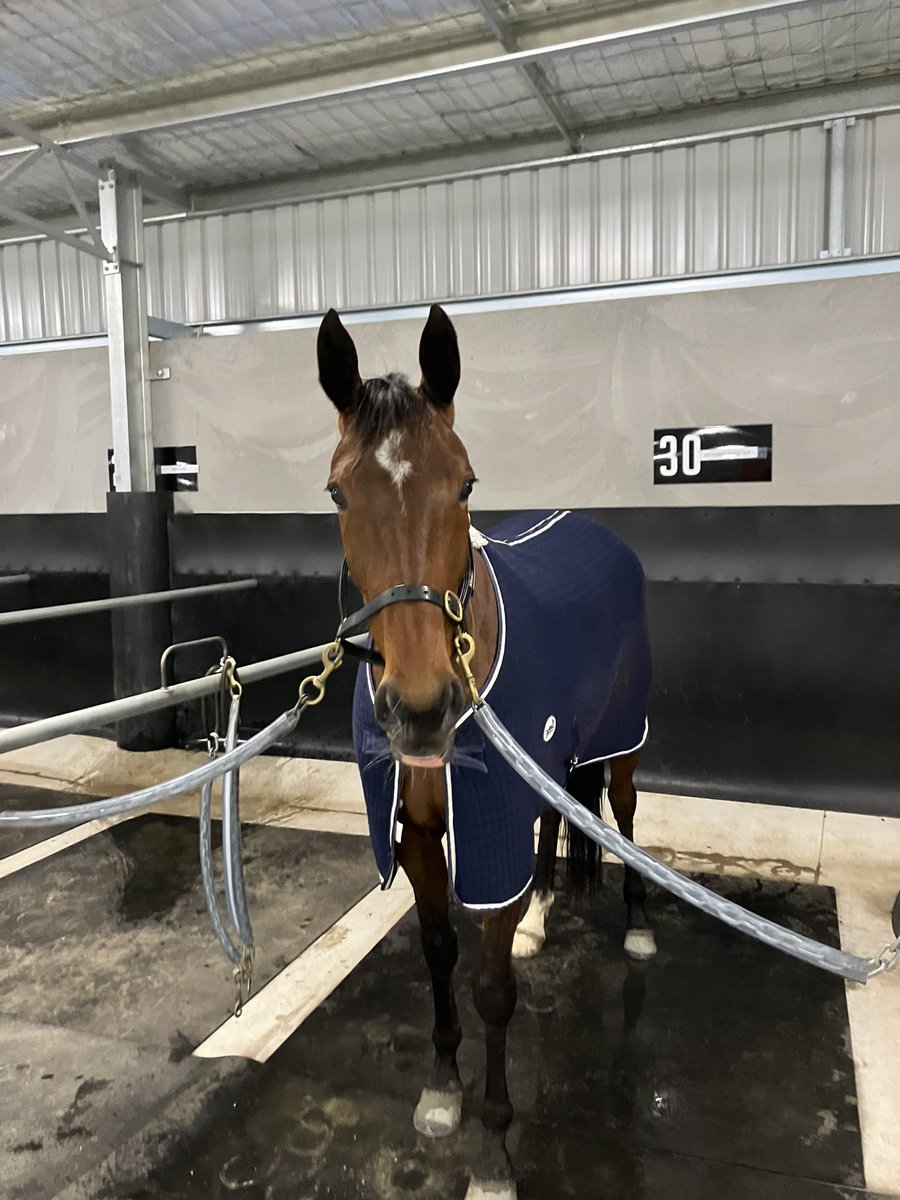 Win #6 for the season for Annie tonight <a href="/KilmoreRC/">Kilmore Racing Club</a>. Thanks to another great <a href="/jimmmyherb/">James Herbertson</a> drive in the <a href="/PCFA/">PCFA</a> ambassador colours. That’s more $ for the <a href="/TheTrotsComAu/">The Trots</a> #thelongtrot campaign. She also picks up a $5k #vicbred voucher. 🥇💪