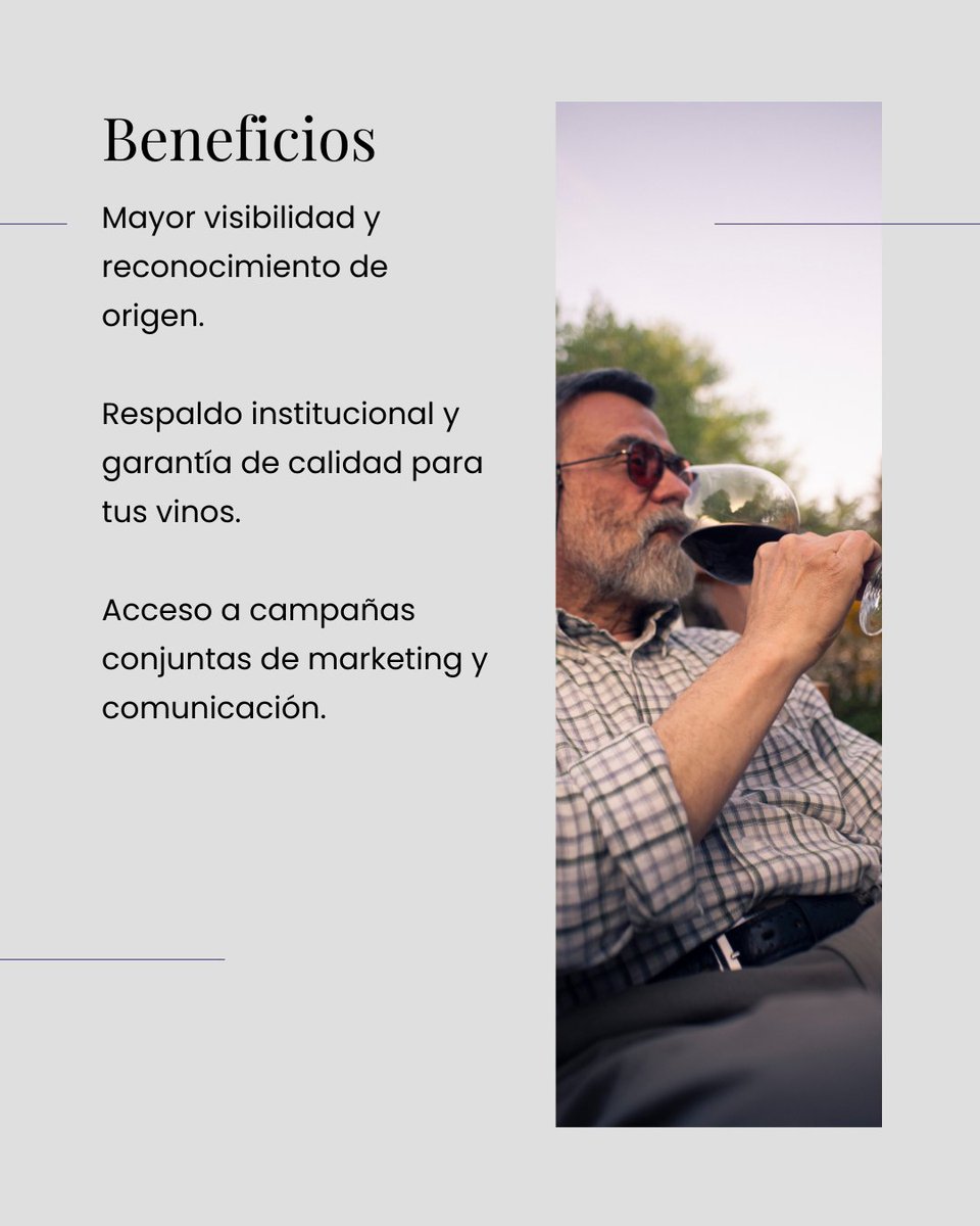 IGP Castelló 🍷 tweet media