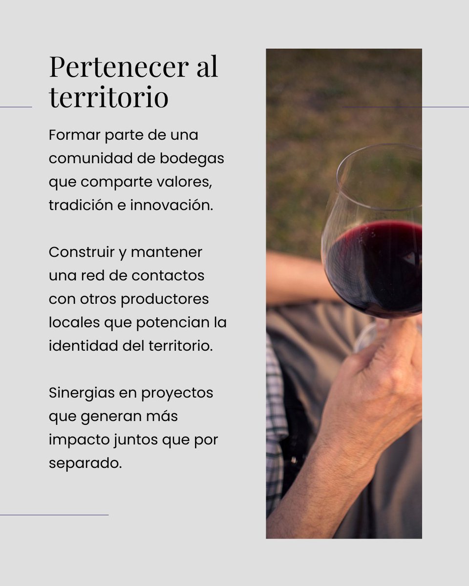 IGP Castelló 🍷 tweet media