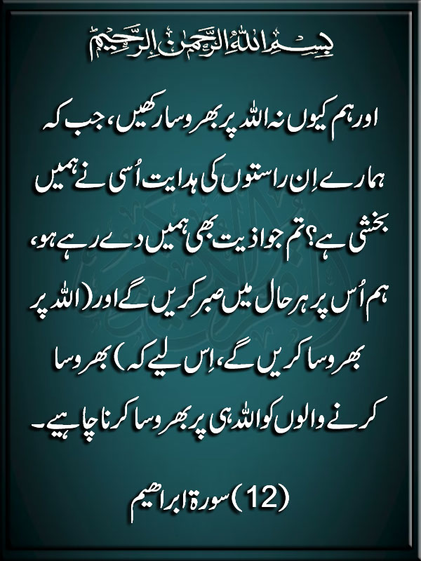 ɖǟռɛɛռ ǟʟi۔۔۔۔علی کی شہزادی۔۔۔۔۔ tweet media