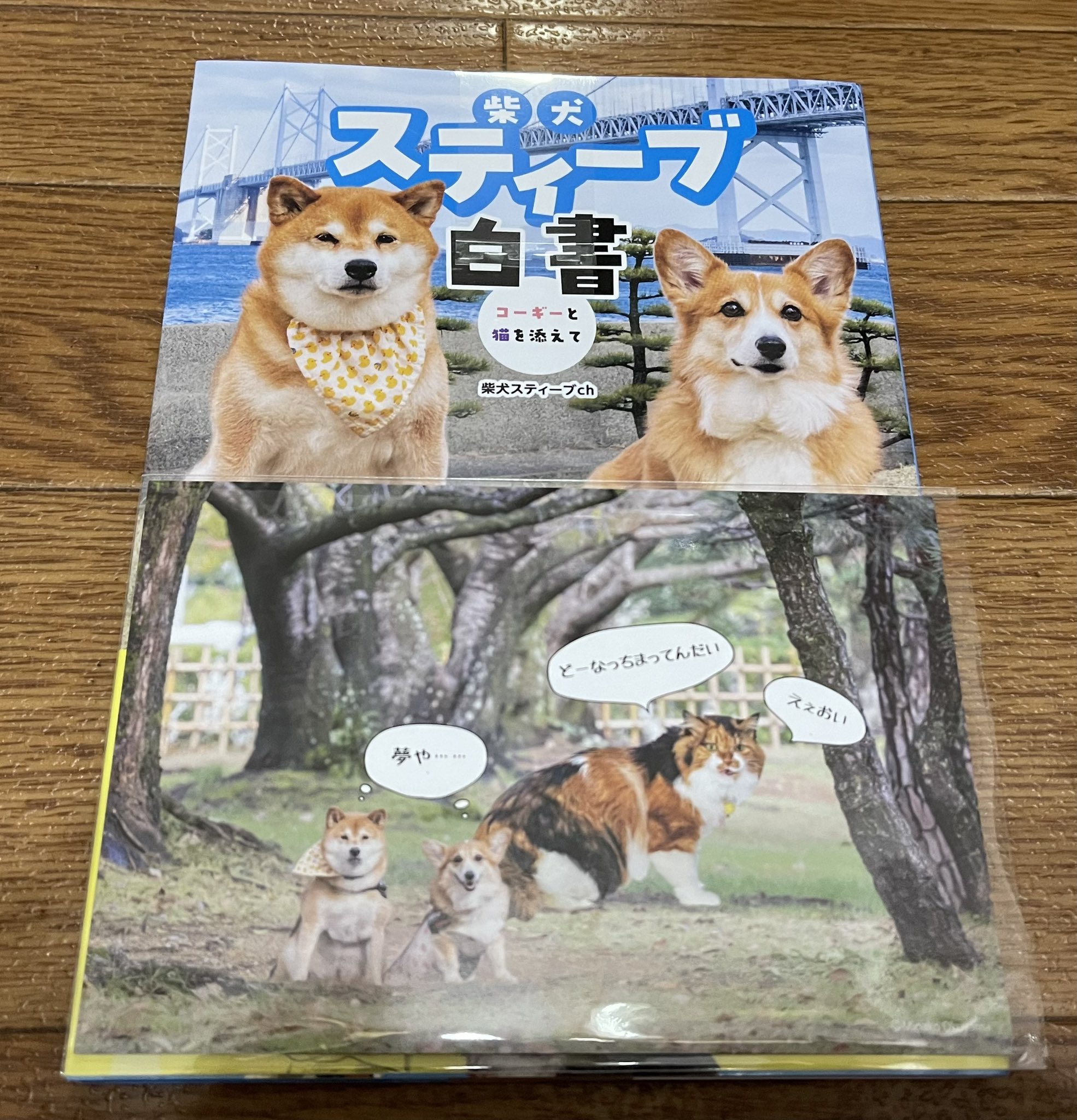 Shi-Ba【シーバ】＋犬びより (@ShiBa2929) / X
