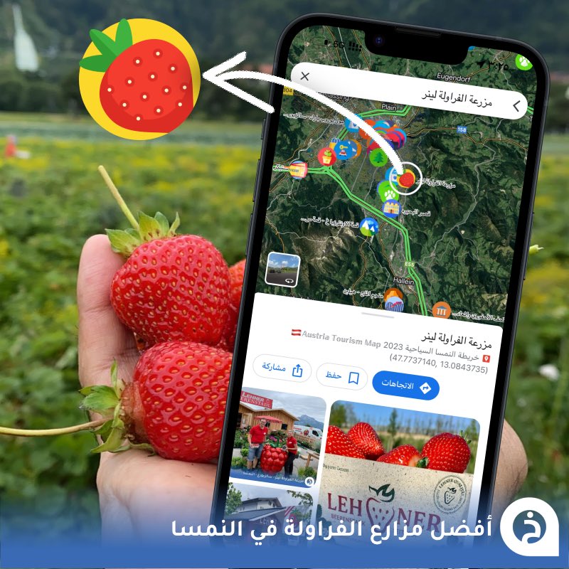 TouristMapsApp's tweet photo. أفضل 10 مزارع فراولة في #النمسا🍓🇦🇹 
↓

1- مزرعة لينر - سالزبورغ
📍https://t.co/2hh6ITQmMn

2- مزرعة لينر - قرية هاق
📍https://t.co/bGmTRM9QUB

3- مزرعة فروتقت هاكيت - انسبروك
📍https://t.co/eOmvm9yxAs

4- مزرعة هوفلينر - جنوب لينز
📍https://t.co/BXwbLjK0Ja

5- مزرعة وندرليش - شمال فيينا
📍https://t.co/pizJzWeJLv

6- مزرعة بيرلي - شمال ليينز
📍https://t.co/qL5Xlqz8dX

7- مزرعة فلوبيري - جنوب بيرتساو
📍https://t.co/OT9Q7iNdcK

8- مزرعة ماير - غرب انسبروك
📍https://t.co/8H6Shxscpq

9- مزرعة بيرجر- جنوب شرق فيينا
📍https://t.co/BPFTpADs7L

10- مزرعة كارنتنر - كلاجنفورت
📍https://t.co/gU5kYvWG0M

• تغطية زيارة مزرعة: 
https://t.co/RDCIfWJrAK
• إفتتاح المزارع والقطف في الموسم فقط.
• جميع المزارع مضافة في الخرائط السياحية تحت الرمز الموضّح في الصورة المرفقة↓
