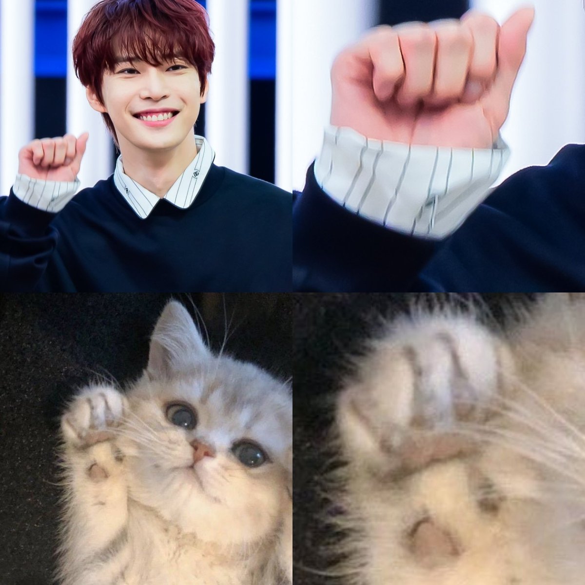 𝑒𝑙. tweet media