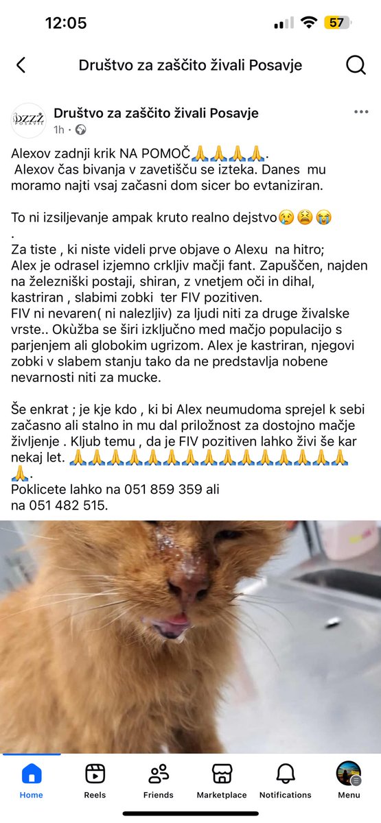 Stellar★ tweet media