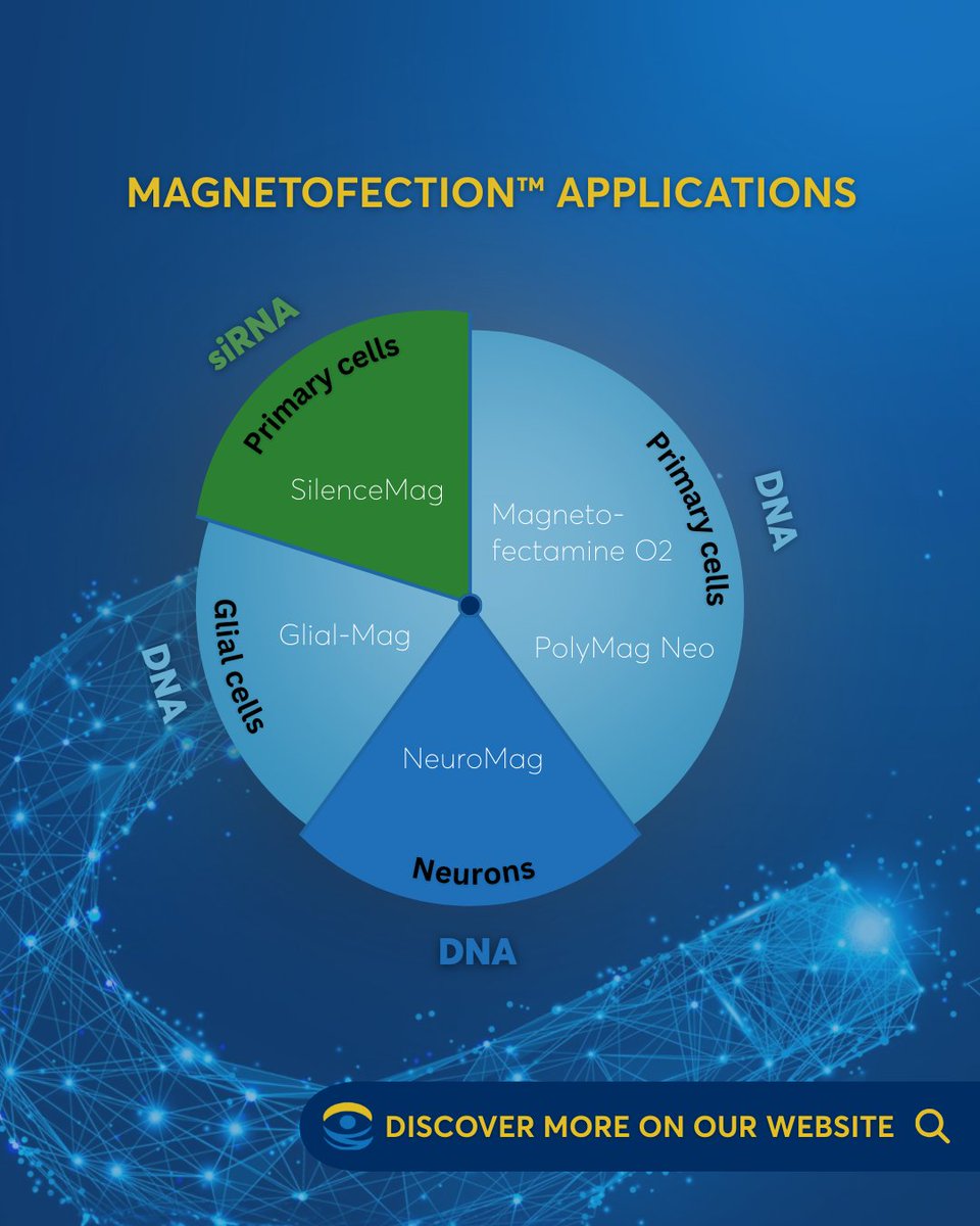 OZBIOSCIENCES's tweet image. What is Magnetofection™ technology, and how can it improve your transfection results?

👉 Swipe to explore the main advantages, protocol steps, and applications of Magnetofection™.

#transfection #magnetofection