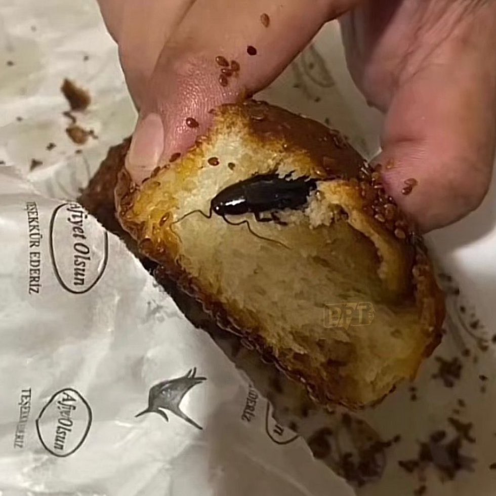 ZAM Haber tweet media