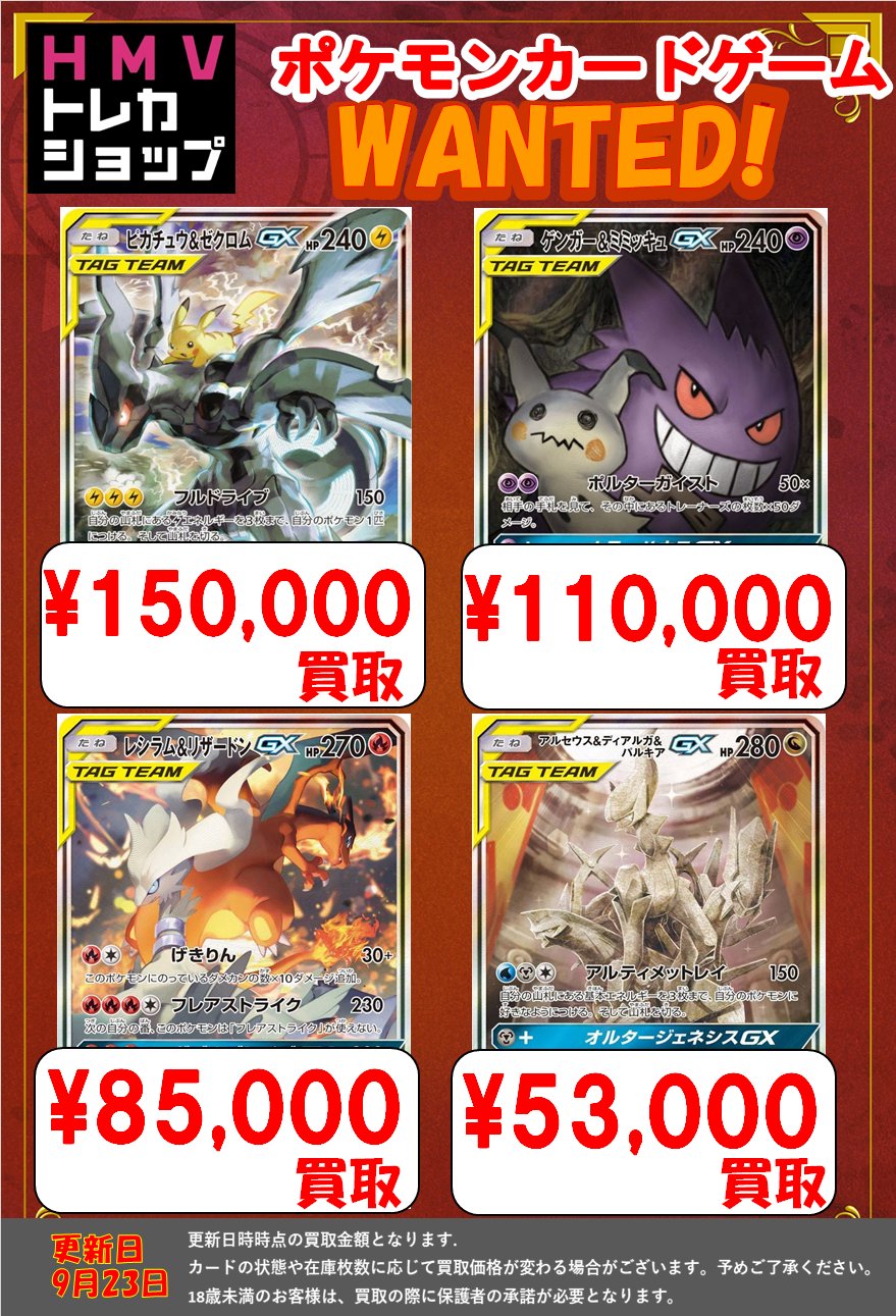 ゲンガー&ミミッキュ ファイヤー&サンダー&フリーザー レシラム&リザードン