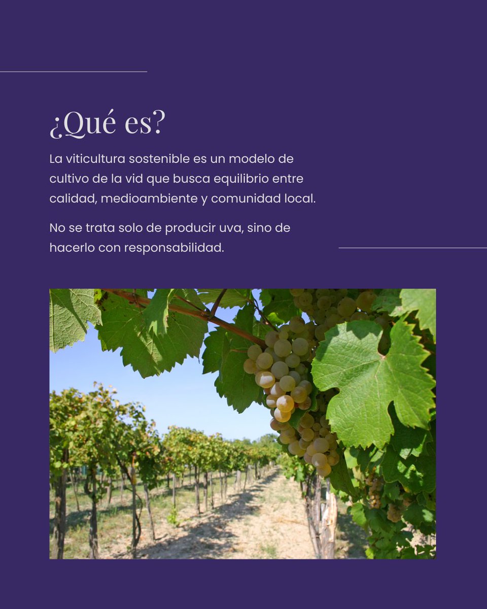 IGP Castelló 🍷 tweet media