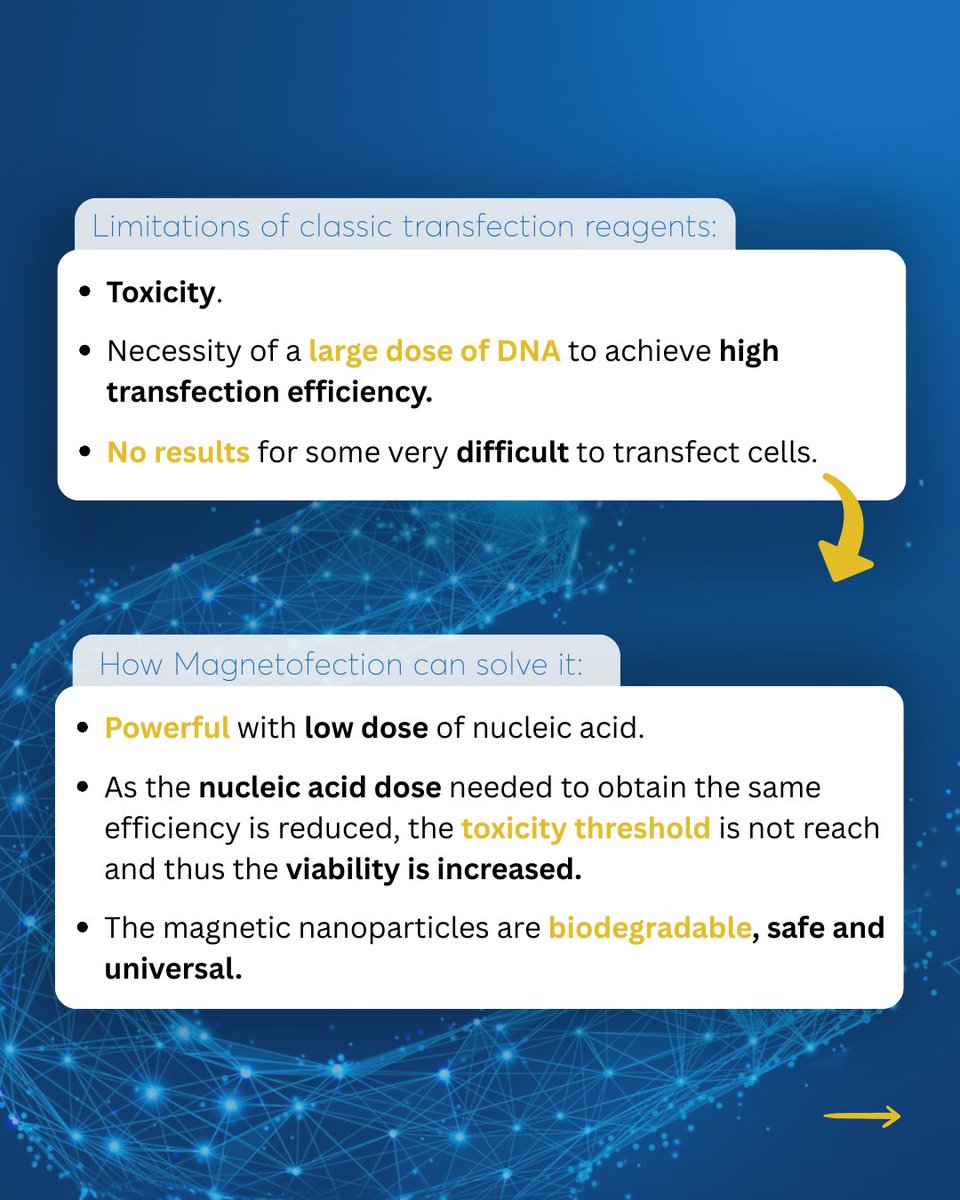 OZBIOSCIENCES's tweet image. What is Magnetofection™ technology, and how can it improve your transfection results?

👉 Swipe to explore the main advantages, protocol steps, and applications of Magnetofection™.

#transfection #magnetofection