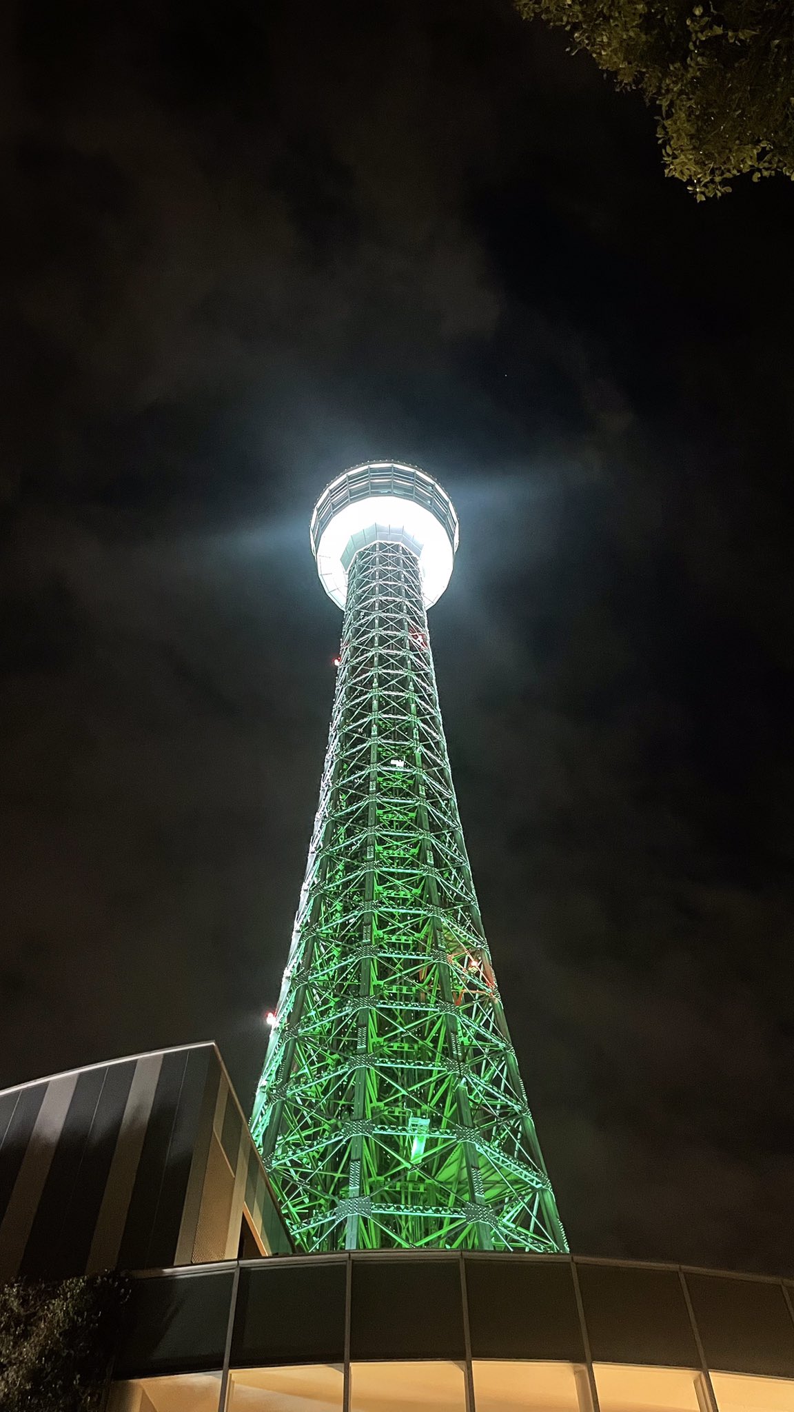 ビジネス向き！綺麗なメテオライト！なんかすごい！グワーンとくる！ 2025新作】ギベオン隕石文字盤採用の ボール ウォッチ「ロード