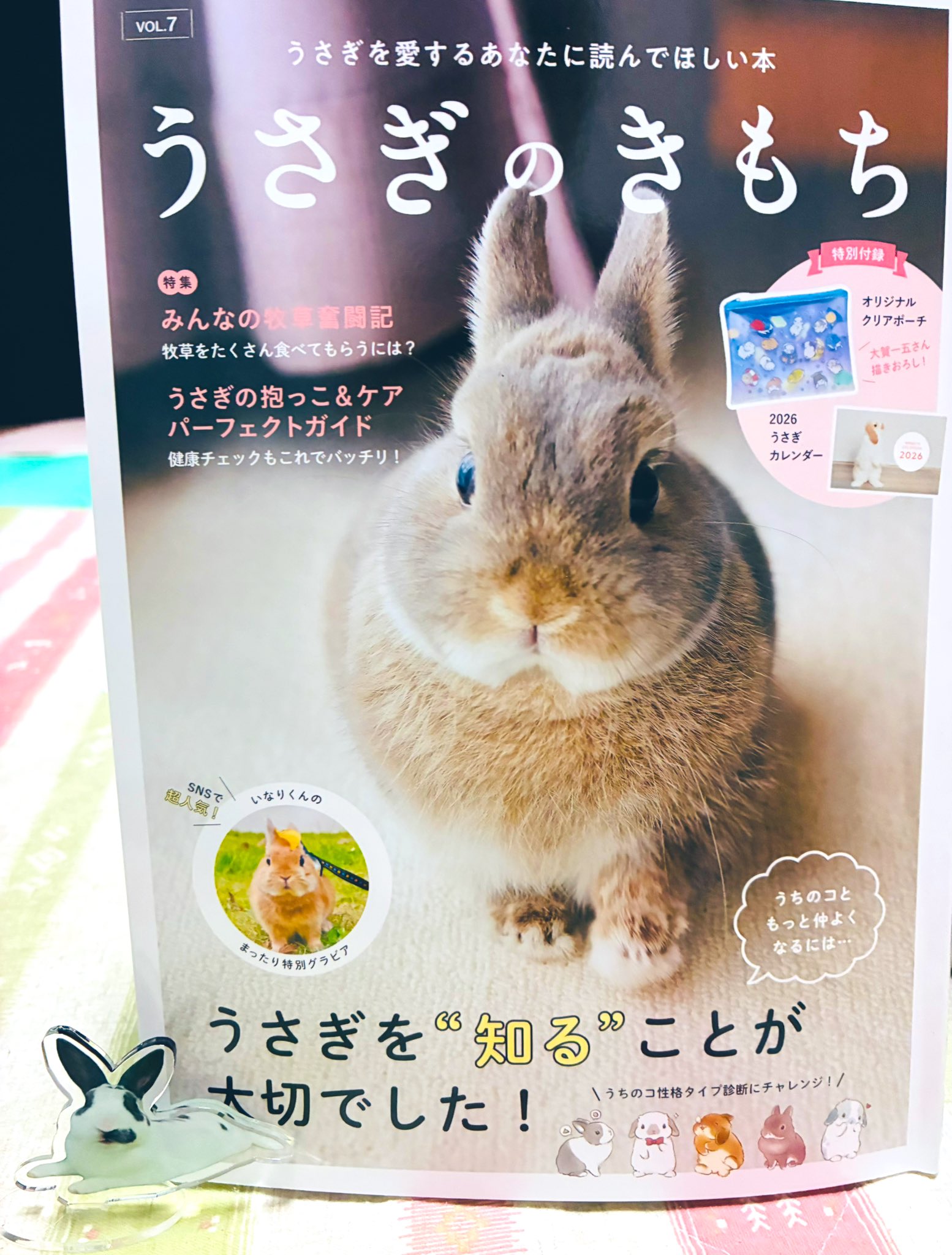 うさぎページ まめふく on X: 
