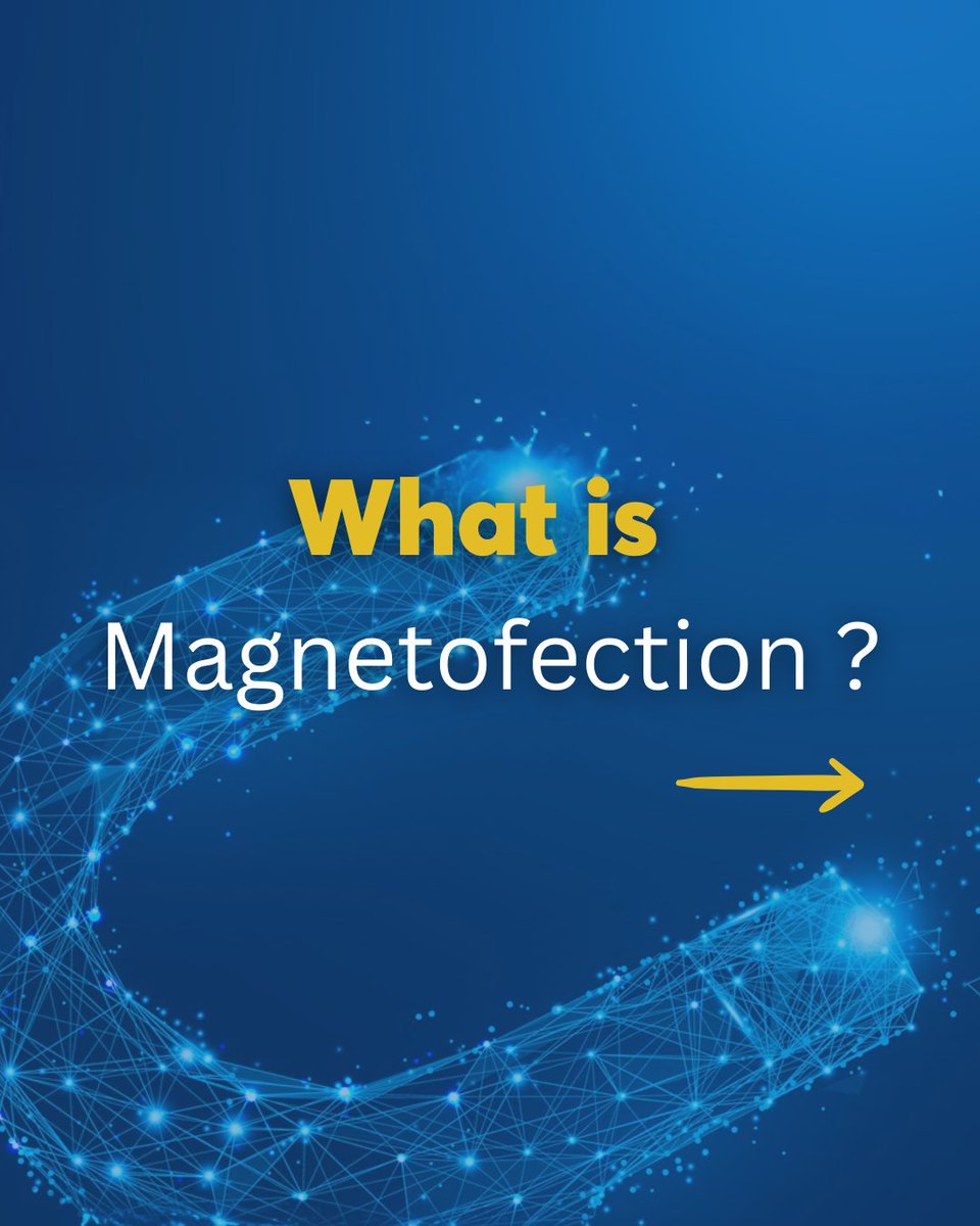 OZBIOSCIENCES's tweet image. What is Magnetofection™ technology, and how can it improve your transfection results?

👉 Swipe to explore the main advantages, protocol steps, and applications of Magnetofection™.

#transfection #magnetofection
