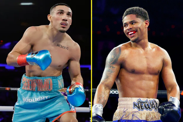 Twan 🦍 tweet media