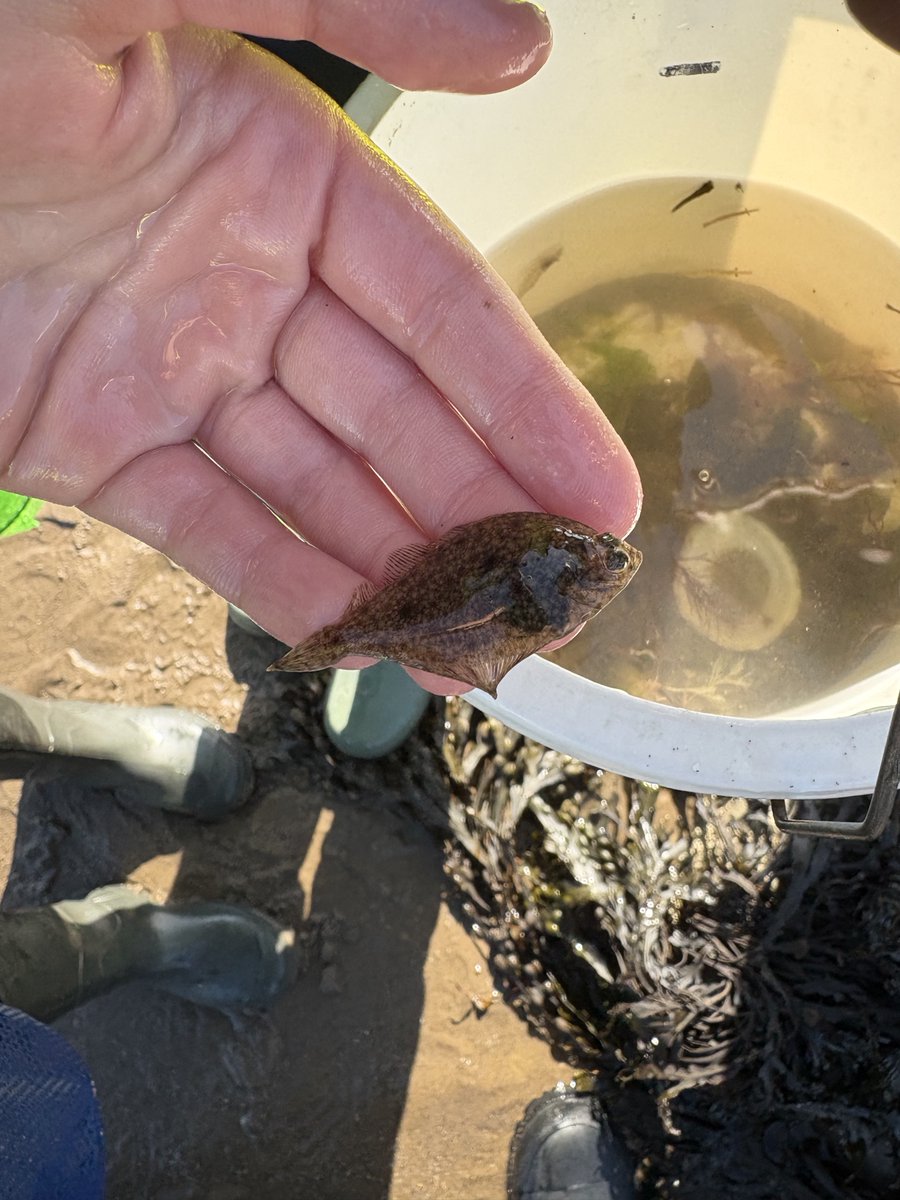 Some more group shots from Robin Hood’s Bay alongside some of the catches of the day..