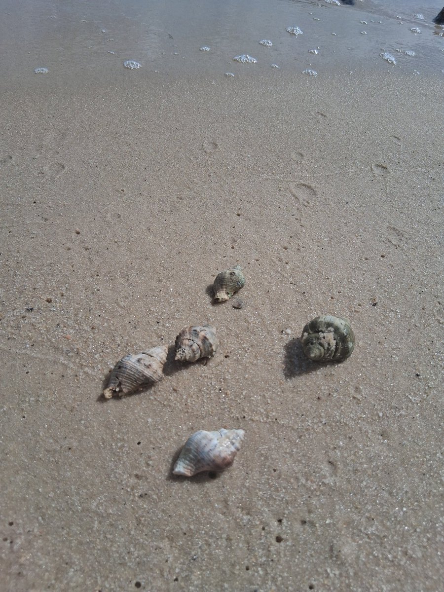 Pascagoula Mississippi