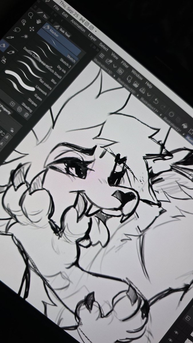 Lyla ✨️ tweet media