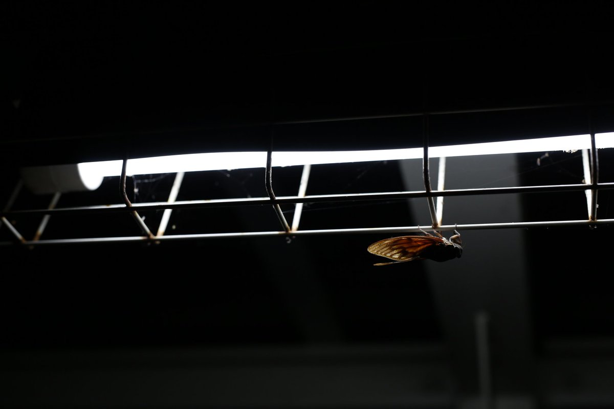 あやたか (@ayataka246859) on Twitter photo 