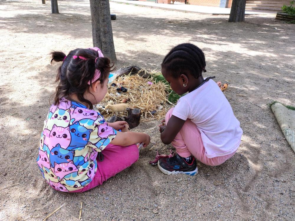 Les escoles d’alta complexitat s’han convertit en l’avantguarda del sistema educatiu. Allà on conviuen  llengües, històries i expectatives, també s’hi troben desigualtats socials i oportunitats 

diarieducacio.cat/el-catala-la-c…

✍️Pau Gaitán ( <a href="/PauGaMaQ/">Pau Gaitán</a> )