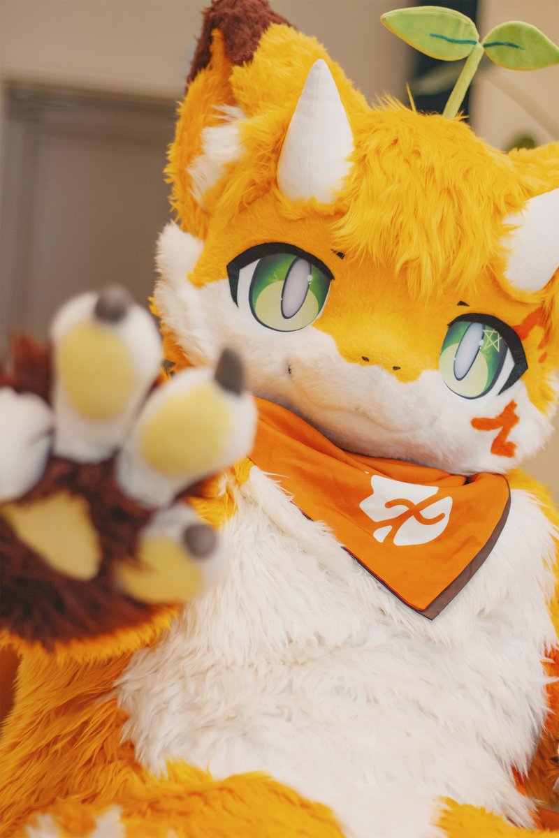 ✌️

#감귤룡 #ミカンドラ
#Fursuit #FursuitFriday