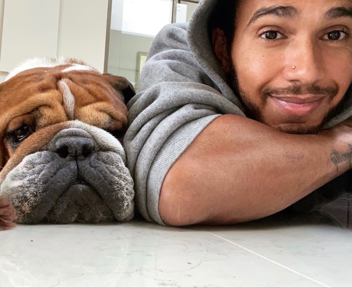 ruscouse's tweet photo. me sinto as fãs das filhas da virginia quando o assunto é roscoe hamilton mas como ser diferente https://t.co/NxZaNHKUr5