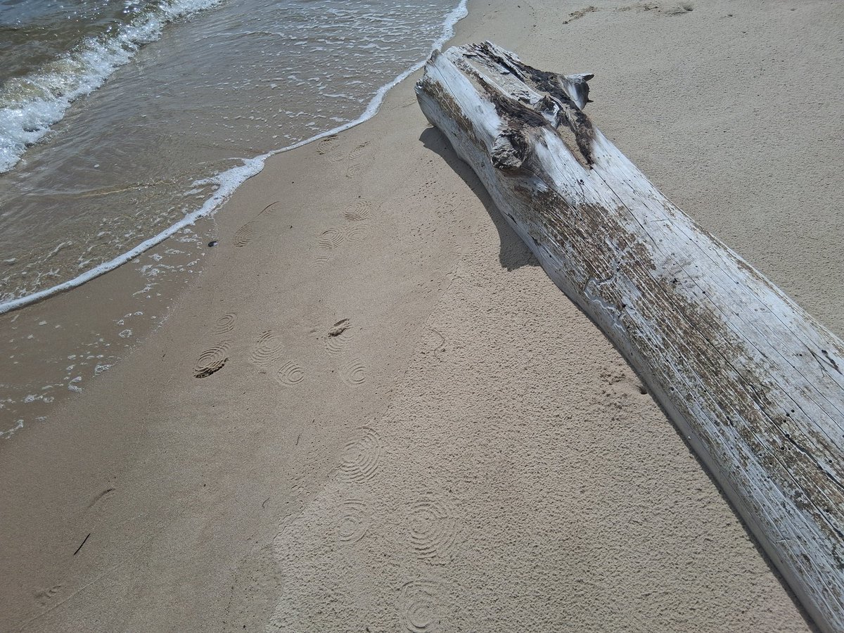 Heather See (@headtweets83) on Twitter photo 