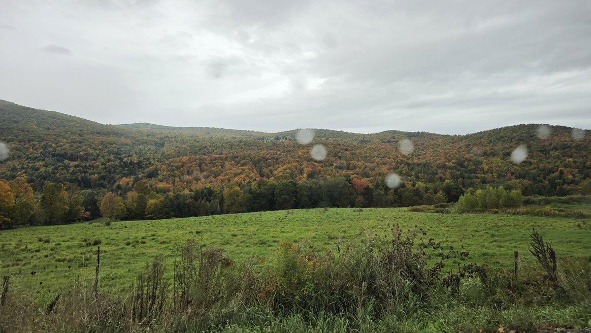 I'm back in VT, second home 💚💚💚
