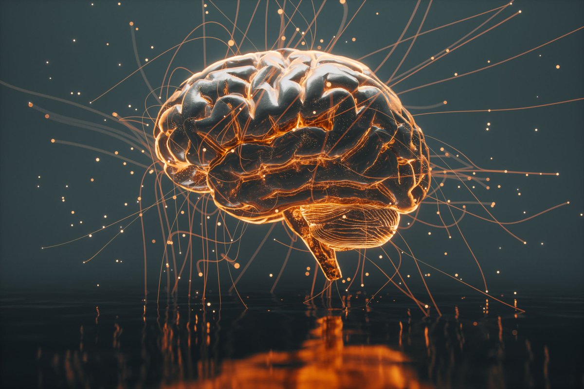 4veryoungbhrt's tweet image. ⚡ Mental clarity includes:
• Cognitive assessment
• Focus enhancement
• Memory improvement
• Brain nutrition
• Stress reduction
🎯 Think clearer, perform better!
📞 Call 954-361-6067
#MentalClarity #ForeverYoungBHRT #BrainOptimization