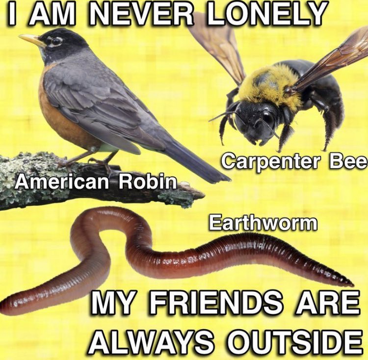 Skyway Journal of Literature (@skywayjournal) on Twitter photo 