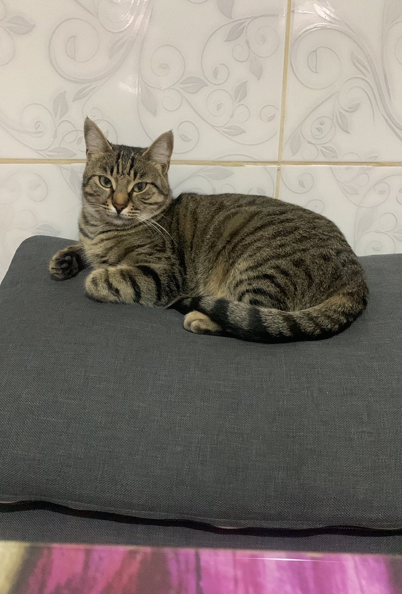 bugün müşterim bu ve kavurma bekliyor