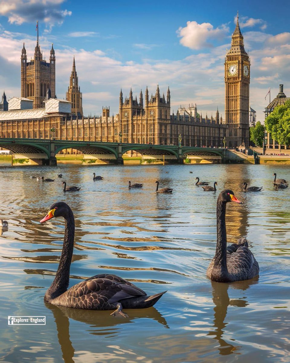 peyton_jon62014's tweet image. Wonderful London.