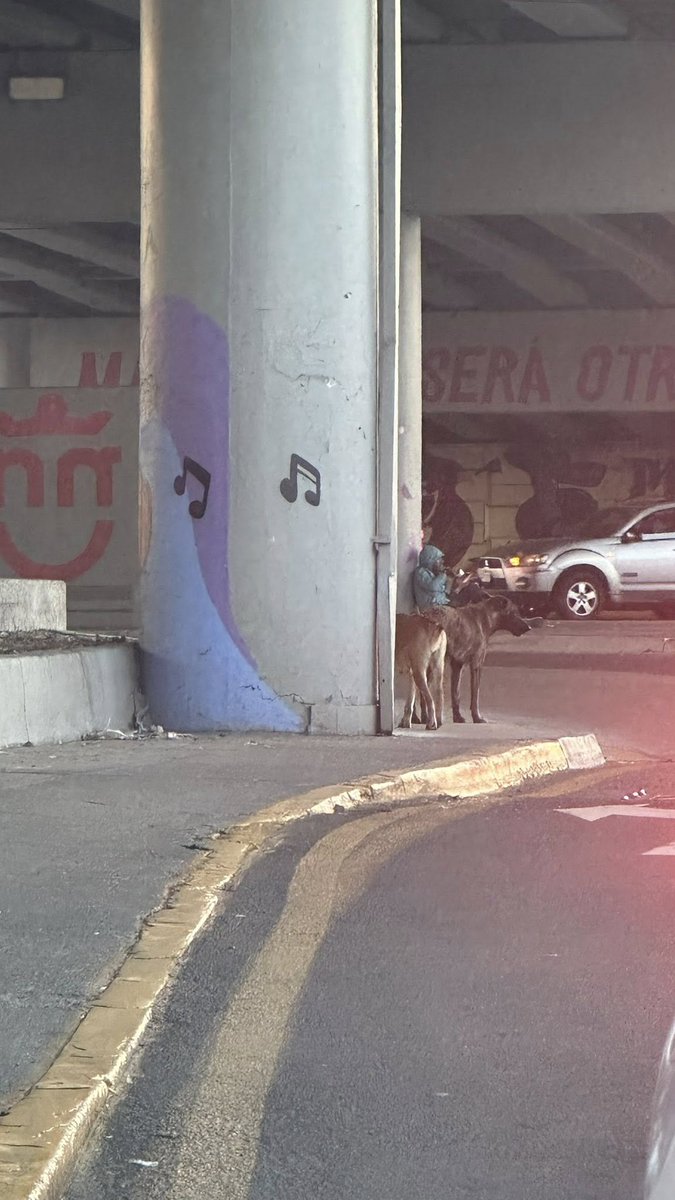 Ahora resulta q los rescatistas tienen la culpa del abandono. Los llamados centros de 'bienestar' animal se lavan las manos y maquillan una gestión ineficiente que por AÑOS ha perpetuado el problema. Exigimos políticas públicas reales. <a href="/ZapopanGob/">Gobierno de Zapopan</a> <a href="/GuadalajaraGob/">Gobierno de Guadalajara</a> <a href="/GobTlajomulco/">Gobierno Tlajomulco</a>