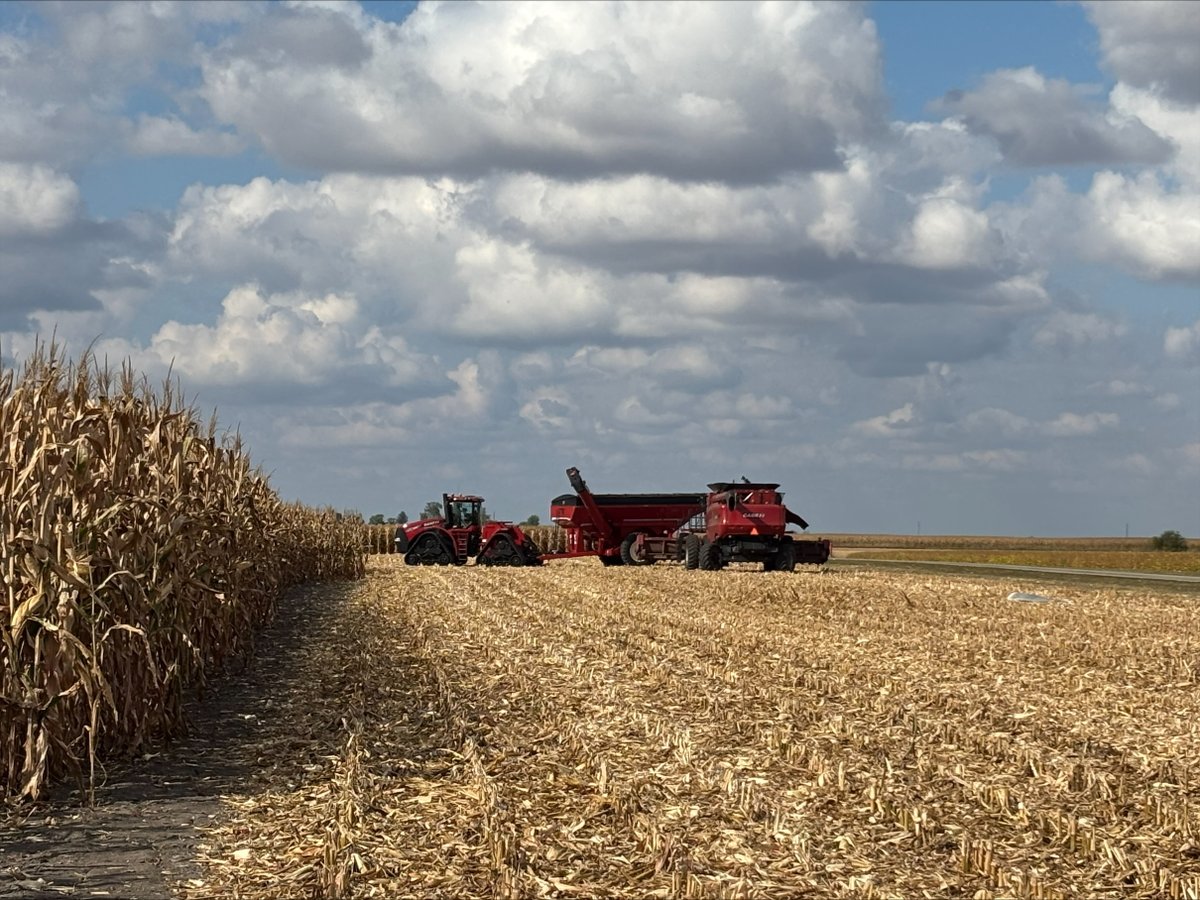 FSCooperatives's tweet image. We&apos;re excited to see #FSInVISION and #FSHiSOY performing in your fields this season! Share your results and tag us—we want to see your harvest. #harvest25