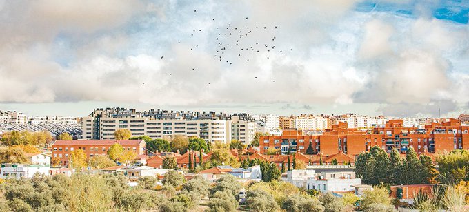 Foto cedida por Ayuntamiento de Rivas