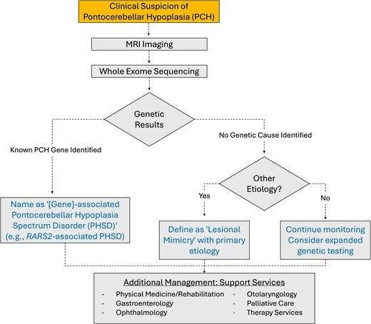 braincomms's tweet image. Kukulka et al. report that pontocerebellar hypoplasia is often linked to mutations in TSEN54, RARS2, EXOSC3 and AMPD2. They propose a dyadic gene-based classification to better diagnostic clarity, and highlight research opportunities. buff.ly/ucRHJrr