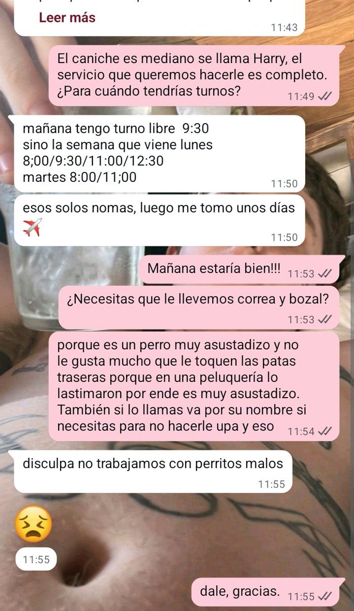 DISCULPA NO TRABAJAMOS CON PERRITOS MALOS AJQJJWJAJAJ