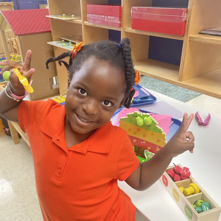 Concrete Primary tweet media