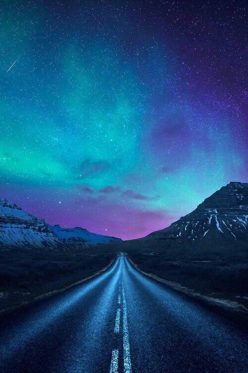 Aesthetics (@aestheticspost_) on Twitter photo 