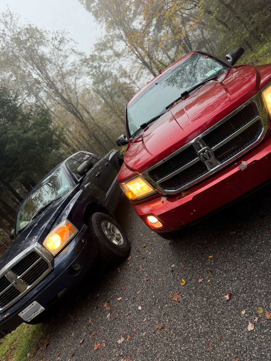 Misty fall morning with the trucks 🤟