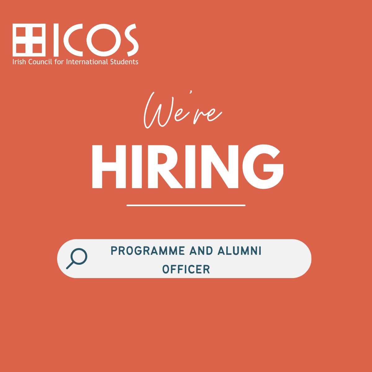 Irish Council for International Students (ICOS) tweet media