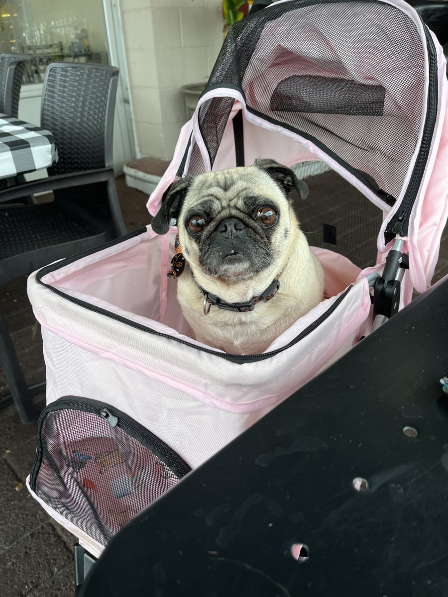 Waiting for lunch to be served.❤️