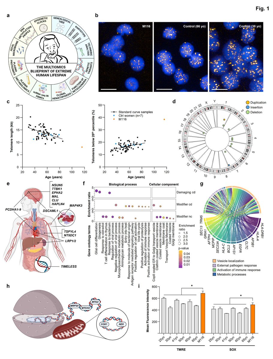 UZUN YAŞAMIN BİLİMSEL KODLARI:

🧵 1/
The Multiomics Blueprint of Extreme Human Lifespan

Bilim insanları 100 yaşını aşan bireylerin genom, epigenom, transkriptom, lipidom ve metabolom profillerini analiz ederek uzun yaşamın moleküler şifrelerini çözüyor.