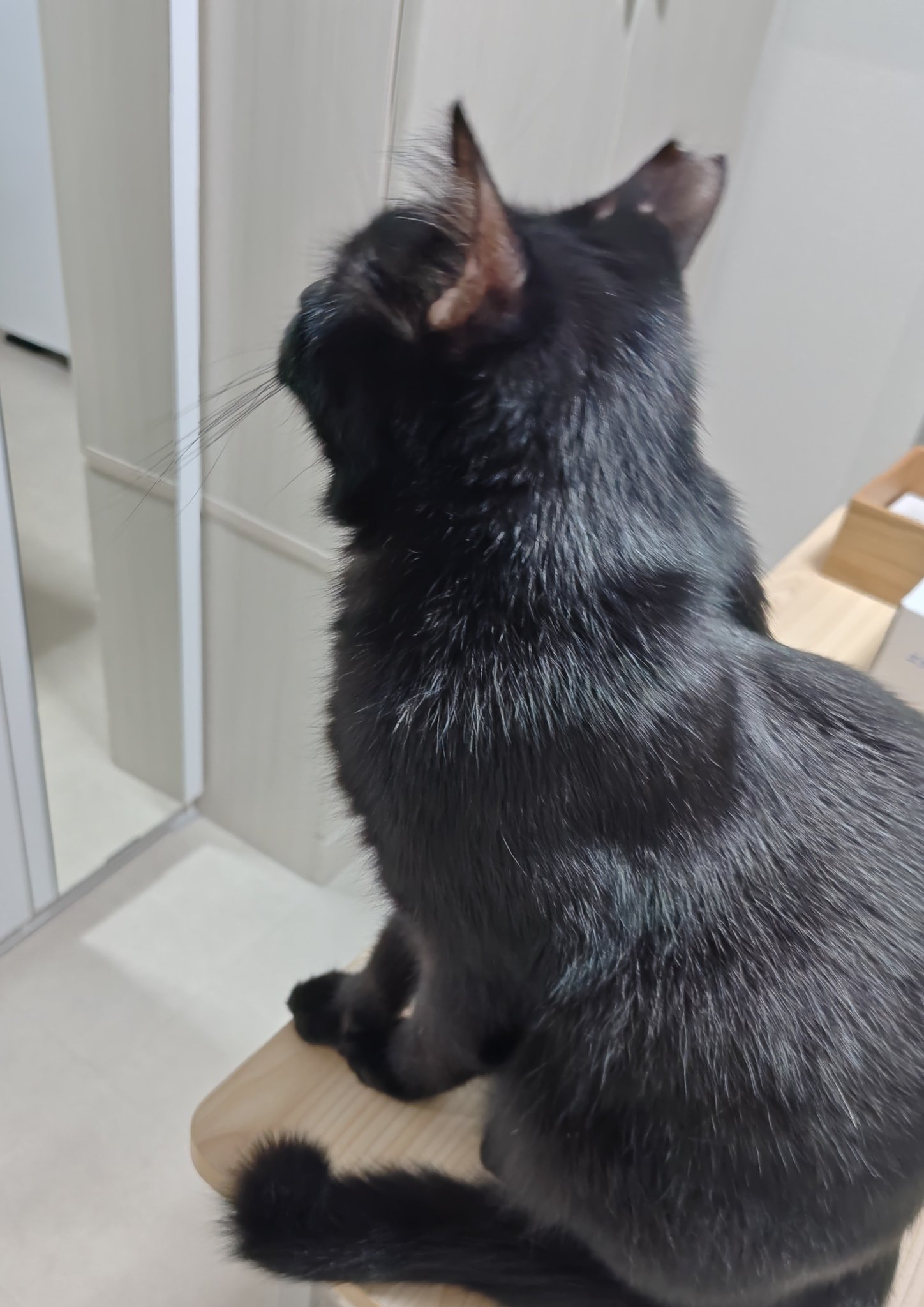 みるここ on X: 