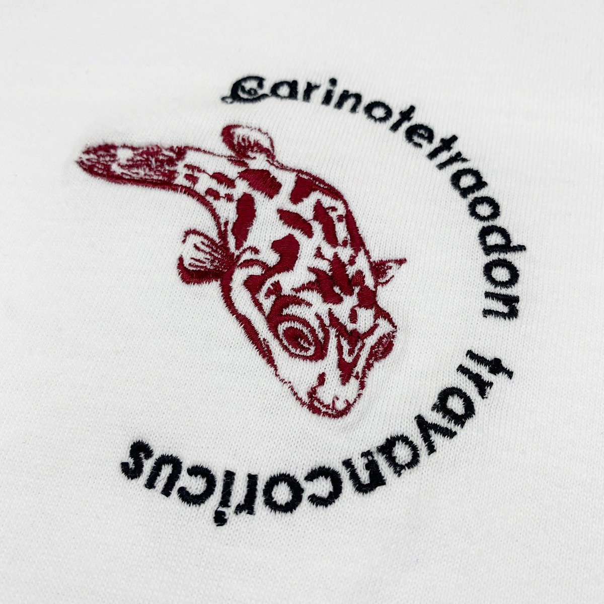 monster_sewing's tweet photo. 少し涼しくなってきました!
アベニーのロンTでもいかがですか?
https://t.co/54fh6RDhMj
#sewinganda_monster #アベニーパファー #淡水フグ #アクアリウム #熱帯魚
#Dwarfpufferfish #Carinotetraodontravancoricus https://t.co/XHL5ILaXeG