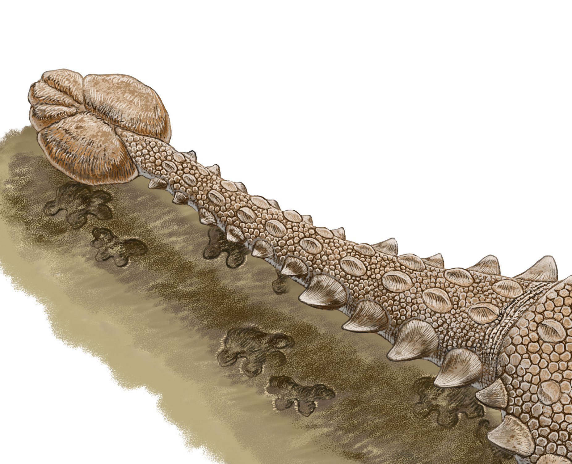 文学・小説 ARCHILOCHUS SAPPHO ALKMAN Archilochos, Sappho