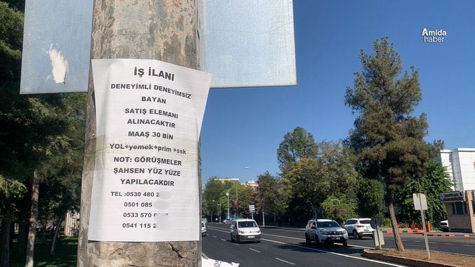 Diyarbakır’da sokaklara asılan “Bayan eleman aranıyor” ilanları Meclis gündemine taşındı.

İlanlarda şirket ya da kurum adı yer almıyor, görüşme adresleri ise belirsiz. 

İddialara göre bu ilanlarla çağrılan genç kadınlar fuhuşa zorlanıyor.

DEM Parti Diyarbakır Milletvekili