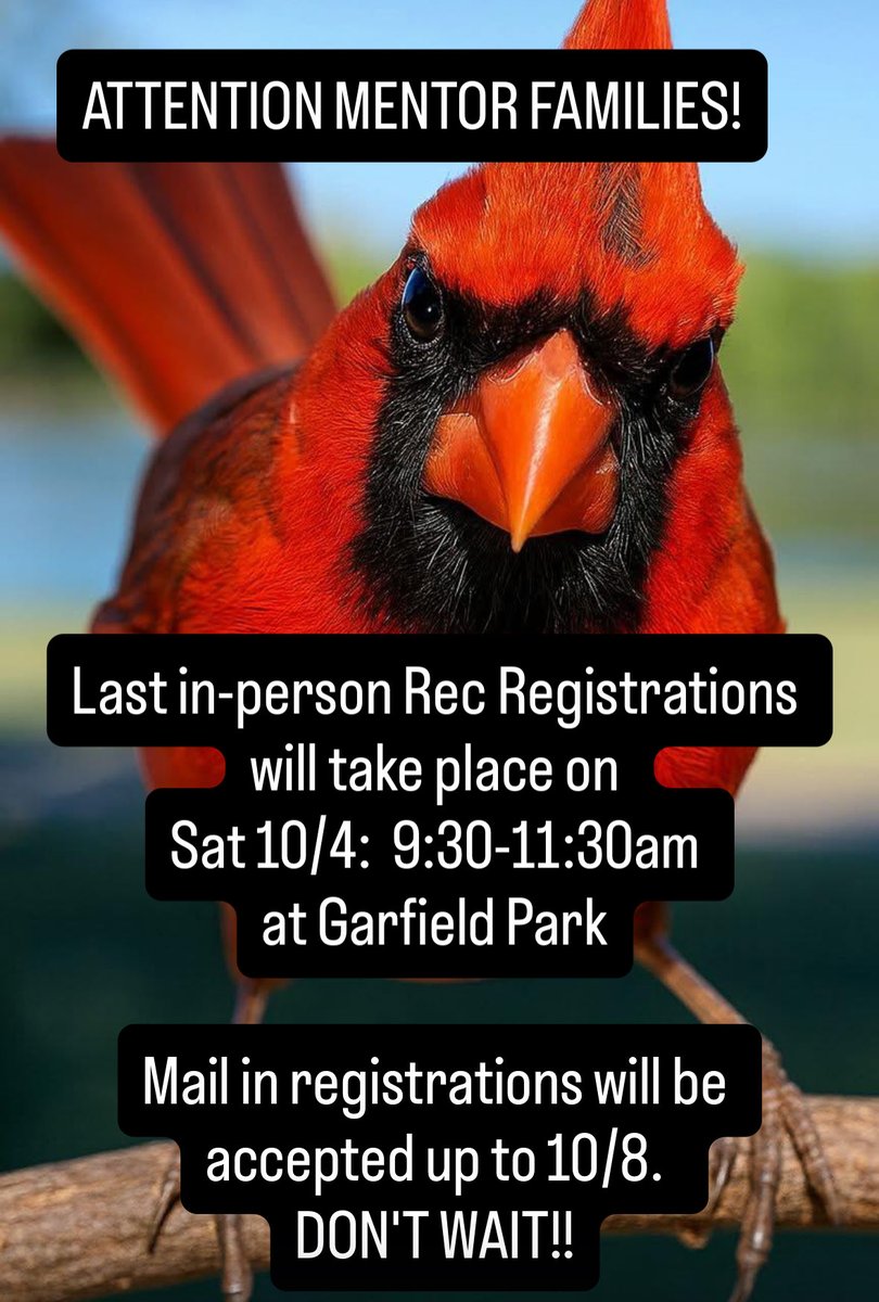 Mentor Basketball (@mentorbball) on Twitter photo 