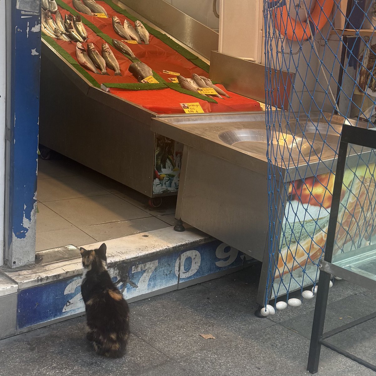 Şunun kadar kibarca bekleyemeyen insanlar var.