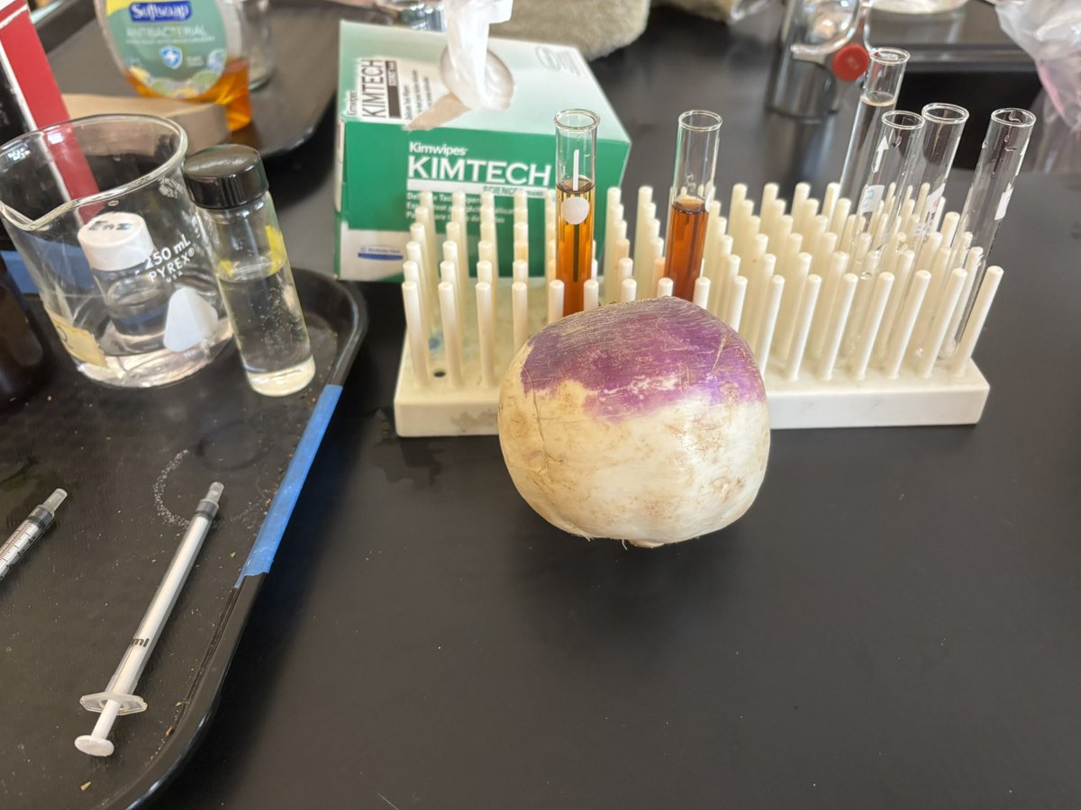 AP Bio life! 
If you know, you know!