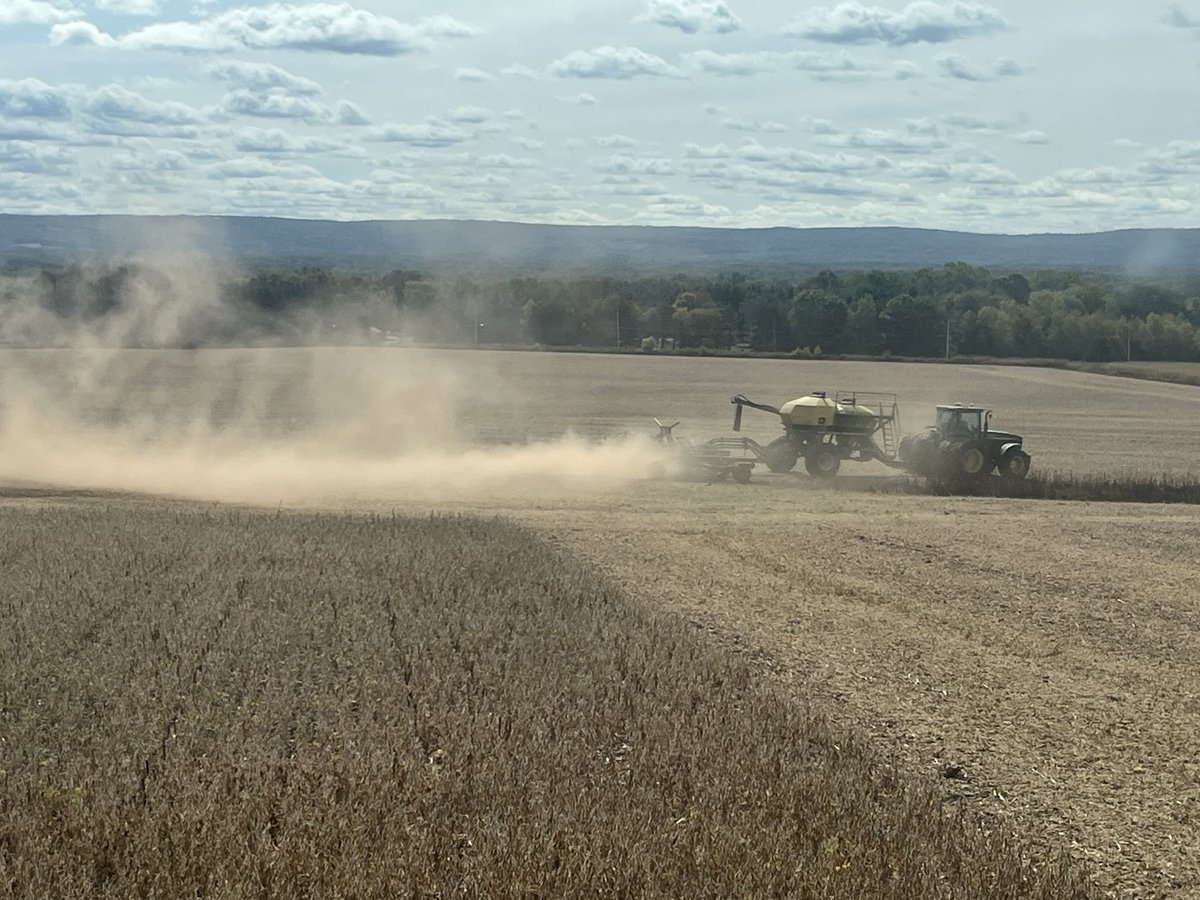 Brian Newcombe tweet media